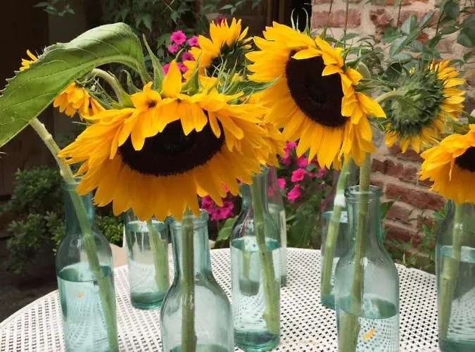 A L'ecole Buissonniere 4* Онфлер